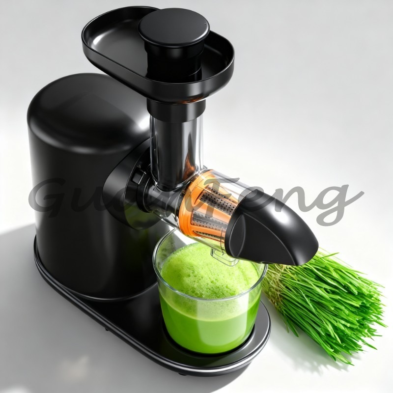 Cold Press Slow Juicer Electri - Electric Slow Juicer Cold Press recension och pris