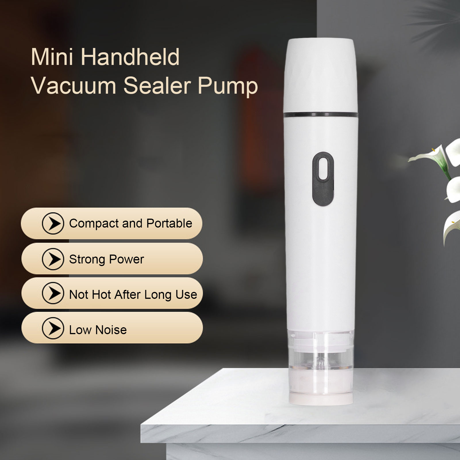 Electric Air Pump Handheld Vac - Food Vacuum Sealer Machine recension och pris